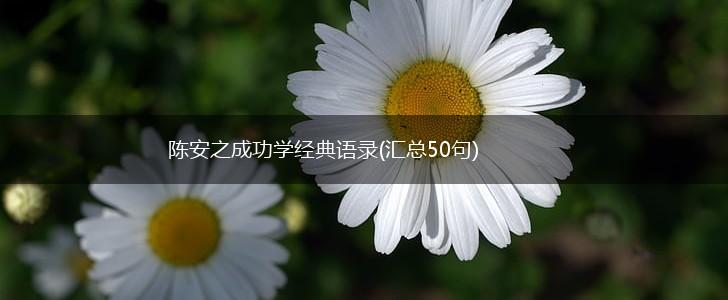 陈安之成功学经典语录(汇总50句),第1张