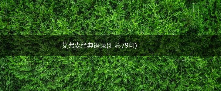 艾弗森经典语录(汇总79句),第1张