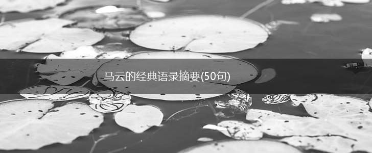 马云的经典语录摘要(50句),第1张