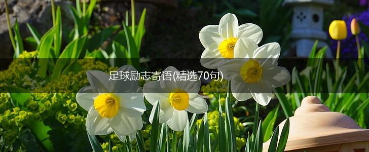足球励志寄语(精选70句),第1张