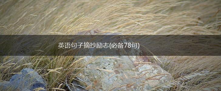 英语句子摘抄励志(必备78句),第1张