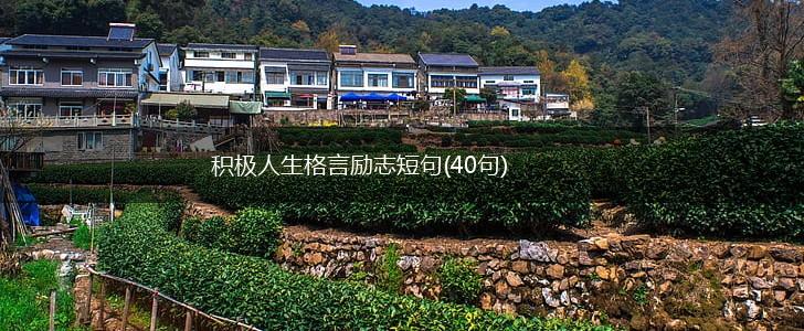 积极人生格言励志短句(40句),第1张
