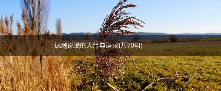 讽刺说谎的人经典语录(共70句),第1张