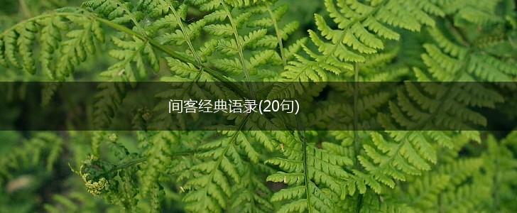 间客经典语录(20句),第1张 间客经典语录(20句),第1张