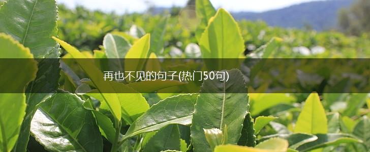 再也不见的句子(热门50句),第1张