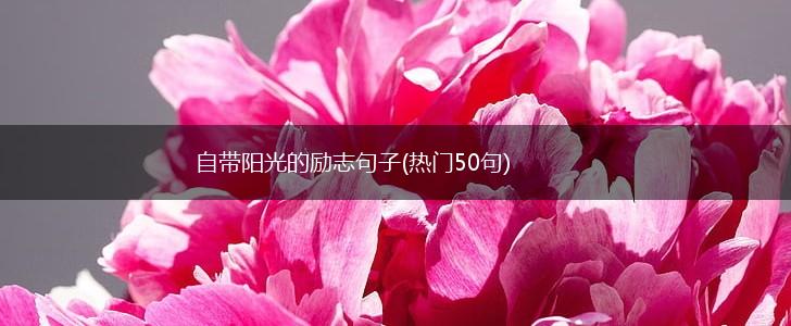 自带阳光的励志句子(热门50句),第1张 自带阳光的励志句子(热门50句),第1张