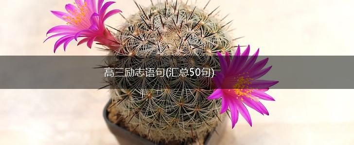 高三励志语句(汇总50句),第1张