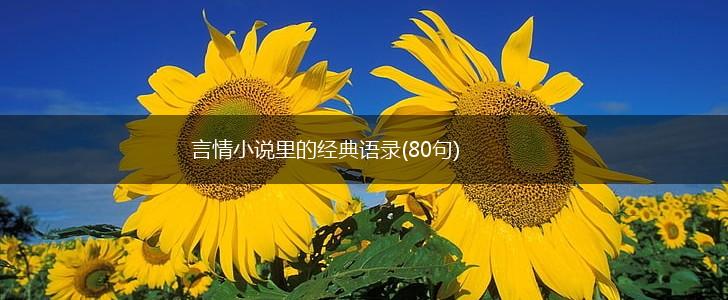 言情小说里的经典语录(80句),第1张 言情小说里的经典语录(80句),第1张