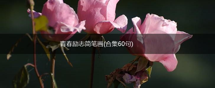 青春励志简笔画(合集60句),第1张