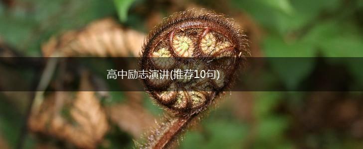 高中励志演讲(推荐10句),第1张