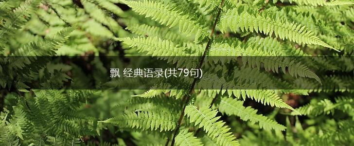 飘 经典语录(共79句),第1张