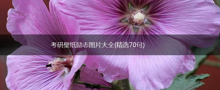 考研壁纸励志图片大全(精选70句),第1张 考研壁纸励志图片大全(精选70句),第1张