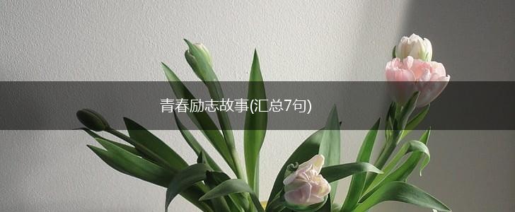 青春励志故事(汇总7句),第1张