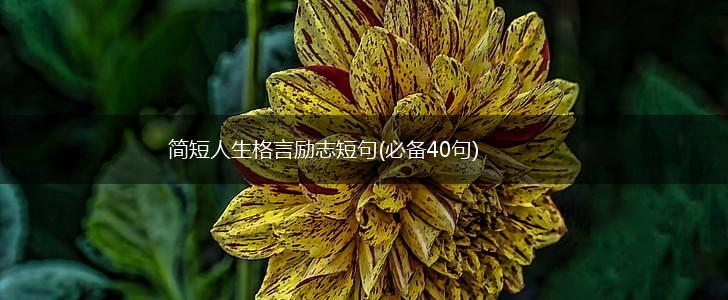 简短人生格言励志短句(必备40句),第1张