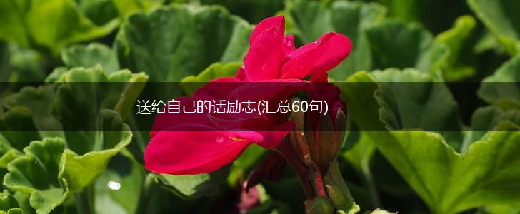 送给自己的话励志(汇总60句),第1张