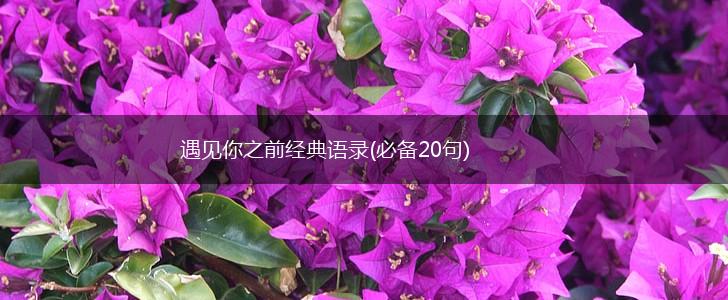 遇见你之前经典语录(必备20句),第1张 遇见你之前经典语录(必备20句),第1张