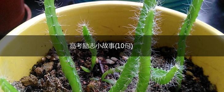 高考励志小故事(10句),第1张