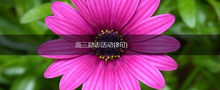 高三励志活动(8句),第1张