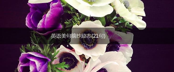 英语美句摘抄励志(21句),第1张