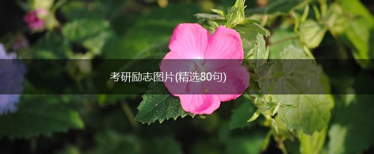 考研励志图片(精选80句),第1张 考研励志图片(精选80句),第1张