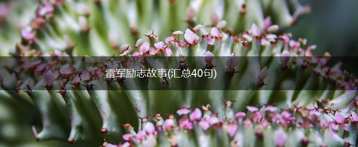 雷军励志故事(汇总40句),第1张