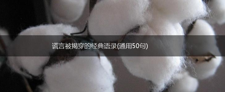 谎言被揭穿的经典语录(通用50句),第1张