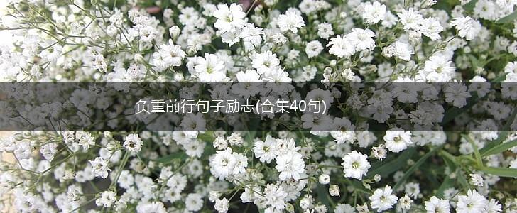 负重前行句子励志(合集40句),第1张