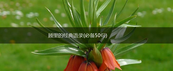 顾里的经典语录(必备50句),第1张