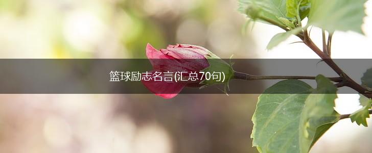 篮球励志名言(汇总70句),第1张