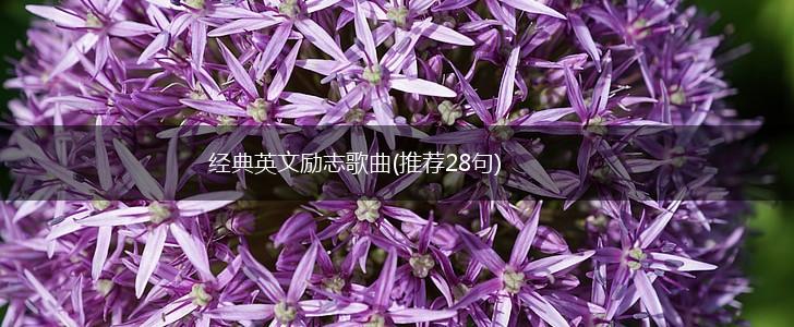 经典英文励志歌曲(推荐28句),第1张