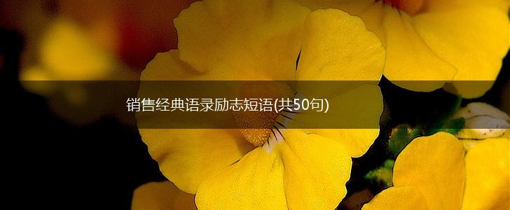 销售经典语录励志短语(共50句),第1张