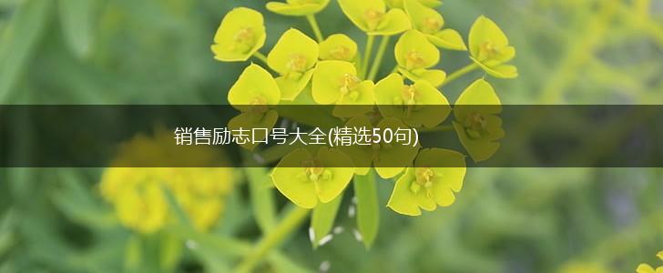销售励志口号大全(精选50句),第1张