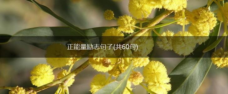 正能量励志句子(共60句),第1张