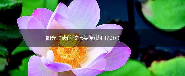阳光励志的微信头像(热门70句),第1张