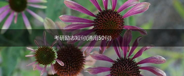 考研励志短句(通用50句),第1张 考研励志短句(通用50句),第1张