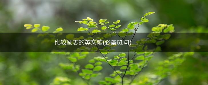 比较励志的英文歌(必备61句),第1张