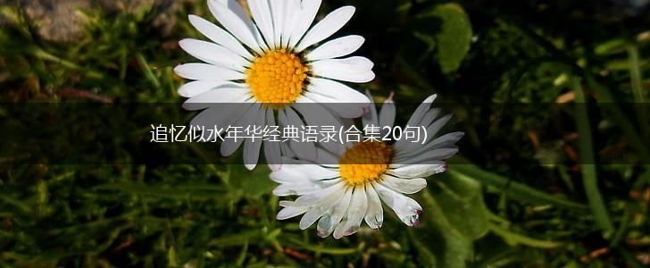 追忆似水年华经典语录(合集20句),第1张