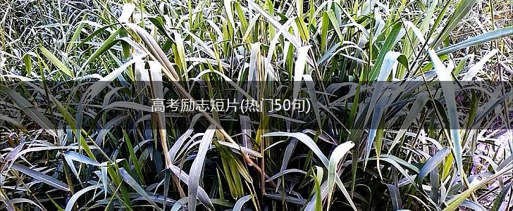 高考励志短片(热门50句),第1张