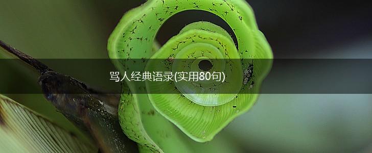 骂人经典语录(实用80句),第1张