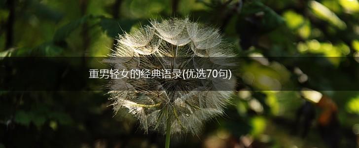 重男轻女的经典语录(优选70句),第1张
