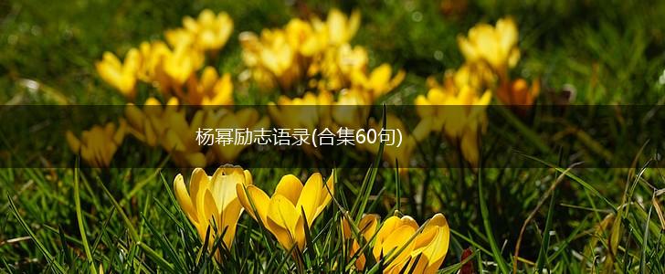 杨幂励志语录(合集60句),第1张