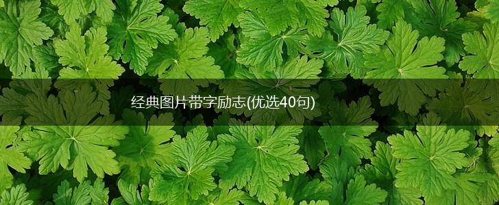 经典图片带字励志(优选40句),第1张 经典图片带字励志(优选40句),第1张