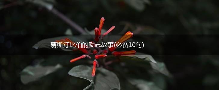 贾斯汀比伯的励志故事(必备10句),第1张
