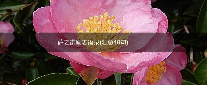 薛之谦励志语录(汇总40句),第1张