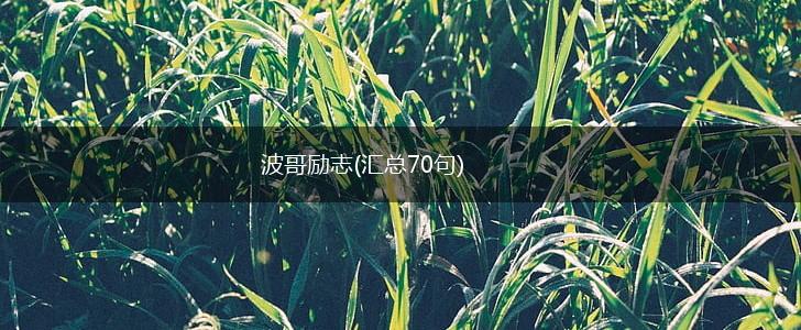 波哥励志(汇总70句),第1张