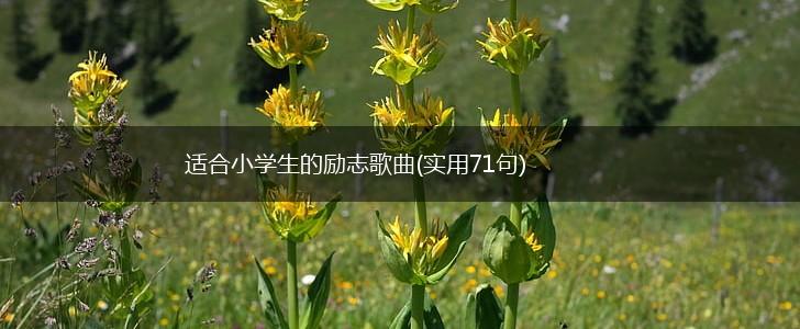 适合小学生的励志歌曲(实用71句),第1张