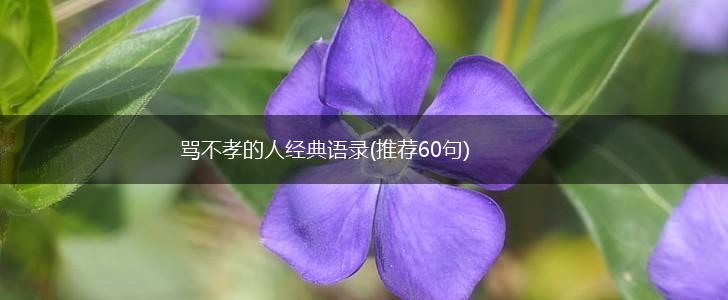 骂不孝的人经典语录(推荐60句),第1张