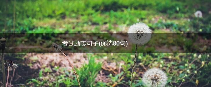 考试励志句子(优选80句),第1张