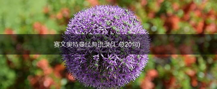 赛文奥特曼经典语录(汇总20句),第1张