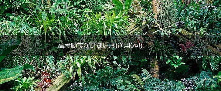 高考励志演讲观后感(通用6句),第1张
